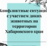 Конфликтные ситуации с участием диких животных на территории Хабаровского края c 22.07.2026 по 30.07.2026 - Управление охотничьего хозяйства