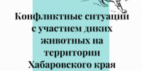 Конфликтные ситуации с участием диких животных на территории Хабаровского края c 22.07.2026 по 30.07.2026 - Управление охотничьего хозяйства