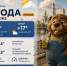 Жара ушла, а солнце осталось: прогноз погоды в Воронеже - Bloknot-Voronezh.Ru