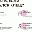 Профилактика инфекций, передающихся клещами - Роспотребнадзор