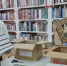 «Губернаторская библиотека» вновь приехала в Октябрьский район - ГТРК Кострома