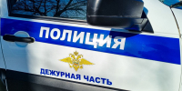 Инвестировала в долги: жительница Макушино перевела мошенникам более 3 миллионов рублей - Kurgan.Ru