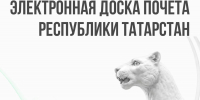 Электронная доска почета Республики Татарстан в лицах - Зеленодольский район