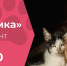 В эфире НТ покажут историю о тех, кому особенно нужна забота - Новгородское областное телевидение