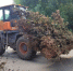 За сутки из Иванова вывезено 257 кубометров мусора. - Городской округ Иваново