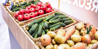 Импорт сельхозпродукции из Армении могут возобновить: что для этого нужно - LiveKuban.Ru