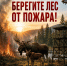Берегите лес — это наше общее богатство! - Администрация Октябрьского района
