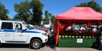 У нелегальных торговцев в Калининграде изъяли шатры, весы и столы - Комсомольская правда