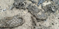 Старинные лапти нашли рабочие при подготовке труб в Ленобласти к зиме - Комсомольская правда