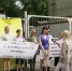 «Кредиторы требуют более 1,2 млрд»: в Новосибирске судят за мошенничество застройщиков ЖК «Сибирячка» - Precedent.TV