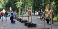 Во Владимире открыли выставку памяти фотографа Владимира Чучадеева - Progorod33.Ru
