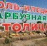 Суходольных не ждите! В Оренбуржье начался сбор соль-илецких арбузов - Yuzh-Ural.Ru