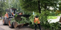 Покос травы, уборка города, обустройство сквера – 14 августа - Город Ковров