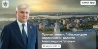 Прямая линия воронежцев с губернатором Александром Гусевым пройдет 25 августа - ВестиПК в Воронеже