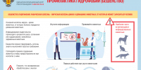 О профилактике бешенства - Роспотребнадзор Чувашии