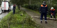 В Архангельске из-за непогоды движение теплоходов по большинству линий приостановили - ГТРК Поморье