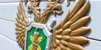 Изменения в Положении о федеральном государственном контроле (надзоре) в области обращения с животными в части осуществления контроля (надзора) - Россельхознадзор