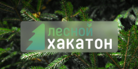 Рослесхоз: открыт прием заявок на участие в первом Лесном хакатоне - Министерство лесного хозяйства