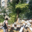 Казачья общественность и экологи выявляют проблемные точки благоустройства - Город Луганск