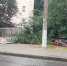 Ветер снес остановку ВятГУ в центре Кирова - Kirov.Online