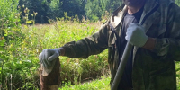 У деревни Поречье завершён отвод лесосеки под сплошную санитарную рубку - Рузский городской округ