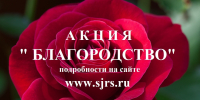 Aktsiya(11445-JjAl3) - Союз журналистов