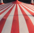 Цирку‑шапито в Самарской области вынесли предостережение - SamaraGIS.Ru