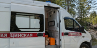 В Карелии рухнувшее дерево перекрыло дорогу «скорой», везшей пациента ночью в больницу - Gubdaily.Ru