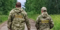 За 2026 год в Ленобласти обследовали три тысячи гектаров леса - 47Channel.Ru