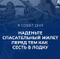 Простые правила для безопасного водного отдыха - МЧС Псковской области
