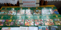 Выбери лучшее - ЦБС Нейского района