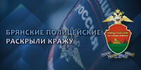 Брянские полицейские задержали двух несовершеннолетних, похитивших товар из магазина - УМВД по Брянску 