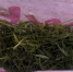 13DT9OCR - МВД РБ