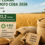 Информация о наличии семян для реализации на озимый сев 2026 года в хозяйствах области - Министерство сельского хозяйства