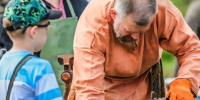 15 августа в Тарусе состоится ежегодный фестиваль Орловского рысака - Городская управа