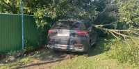В Белгородской области иномарка протаранила дерево - Комсомольская Правда