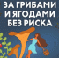 Как не заблудиться и не попасть в беду - МЧС Новгородской области