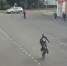 Питбайк движется на заднем колесе | Источник: ДТП и ЧП | Санкт-Петербург / Vk.com - 29.Ru