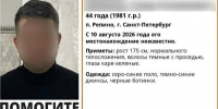 Как петербургские коллеги пропавшего юриста Шамиля Ахаева отреагировали на его исчезновение? - Neva.Today