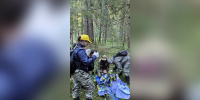Из леса в Пеновском округе спасли 79-летнего рыбака - Афанасий-биржа