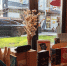 Студотряды Башкирии дарят заботу: акции «Снова в школу» и «Чемодан в общагу» - Красное Знамя