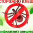 Важно! Профилактика клещевого вирусного энцефалита - Мантуровский муниципальный округ