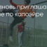 Поделитья во ВКонтакте - Братская Студия Телевидения