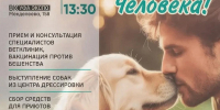 В Уфе состоится акция в поддержку бездомных животных - Совет гор. округа Уфа