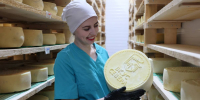 Экспорт продукции АПК из Вологодской области вырос почти на 30% за семь месяцев - OnlineVologda.Ru