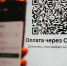 Жителей Томской области предупредили о новой схеме мошенничества с QR-кодами - Комсомольская Правда