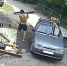 Липчане приманивают к помойкам грызунов - МОЁ! Липецк