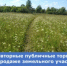 Повторные публичные торги  по продаже земельного участка сельхозназначения  в Талицком муниципальном округе   - Министерство по управлению госимуществом