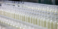Сыры, творог, молоко: как любимые продукты могут навредить зубам - Комсомольская Правда