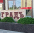 Зеленые акценты города: как благоустройство территорий у торговых объектов меняет облик района - Администрация Славянского района
